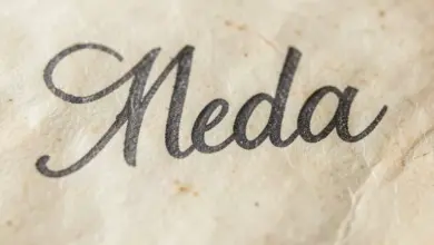 jaký je význam jména Meda a jeho původ - Jaký je význam jména meda - ilustrační foto