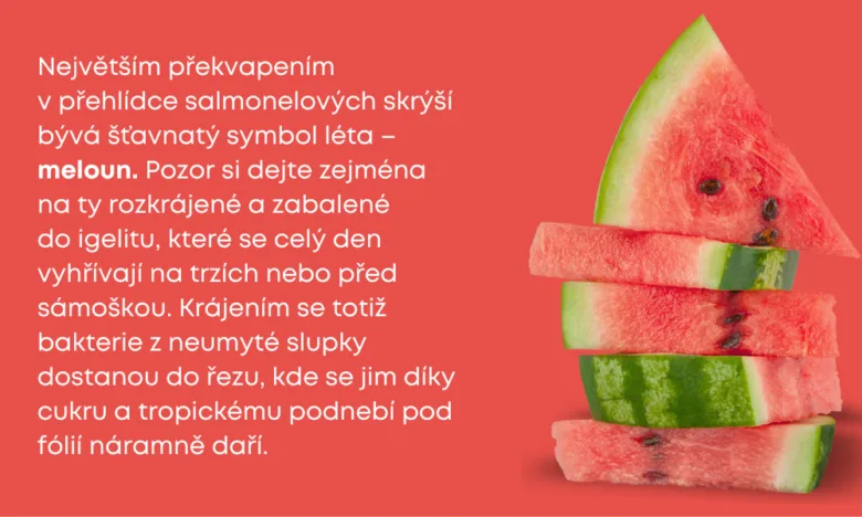 Melouny na trhu mohou být kontaminovány Salmonellou, pozor si dejte.