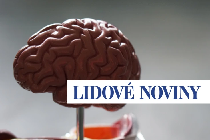 Čokoládový model lidského mozku na stojanu s logem Lidové noviny.