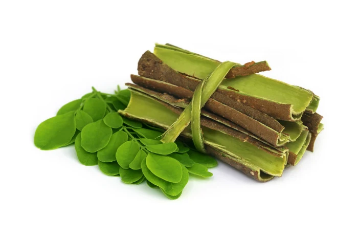 Svěží listy stromu Moringa obalené v svazku s řapíky.