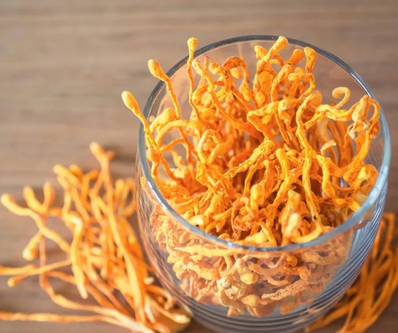 Sklenice suchých oranžových houb Cordyceps na dřevěném povrchu.