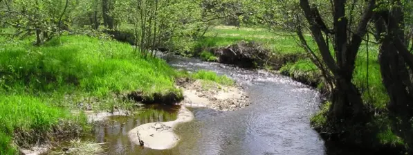 Řeka teče lesní říční krajinou s travnatými břehy.