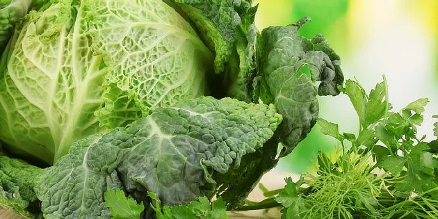 Zelená kapusta s bylinkami jako ilustrační foto pro článek o vitamínu B6.