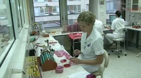 Zdravotní sestra pracuje v laboratoři na pneumokokových testech.
