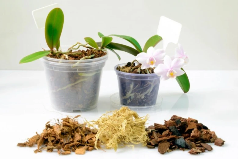 Dvě pěstované orchidee s různými typy substrátu pro výsadbu.