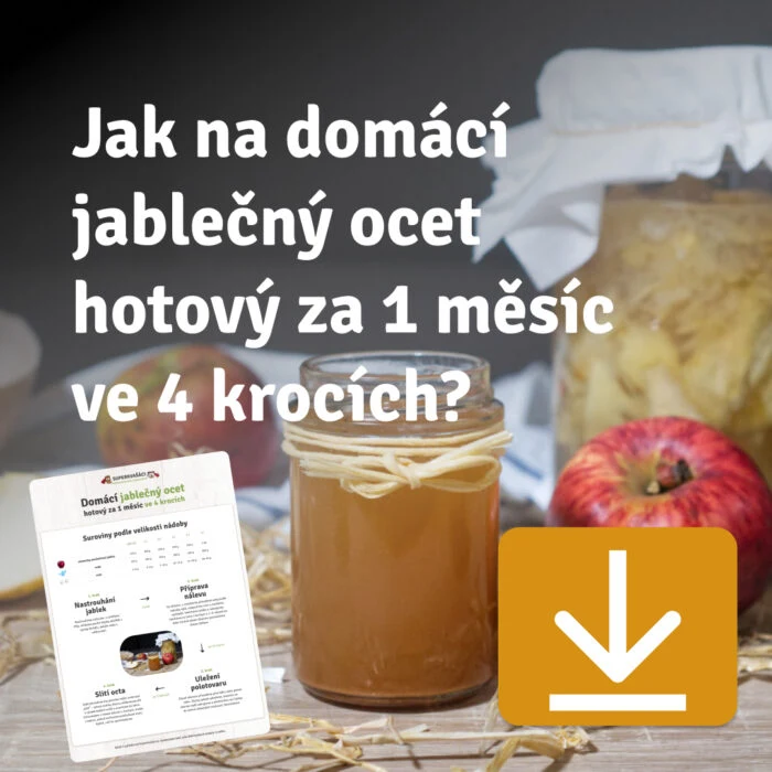 Sklenice s jablčným octem připraveným doma podle českého návodu.