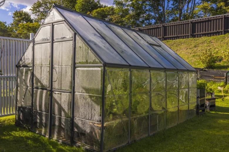 Greenhouse with plants inside