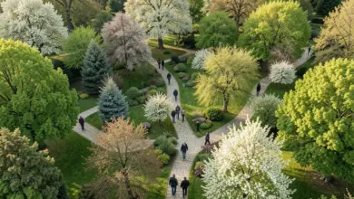 dendrologická zahrada Průhonice co vidět a jak se tam dostat - Dendrologická zahrada průhonice co vidět a - ilustrační foto