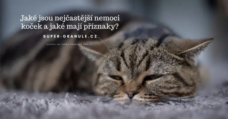 Spící kočka s přírodním vzorem na měkkém povrchu.