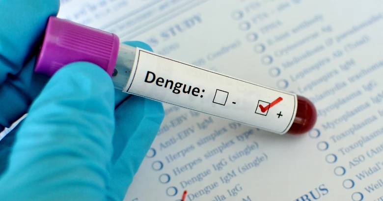 Krevní vzorek s pozitivním výsledkem testu na horečku dengue.
