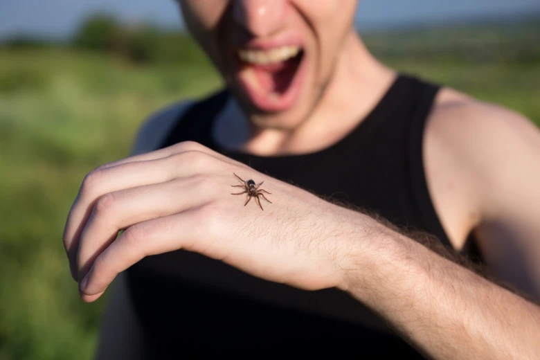 Muž s pavoukem na ruce v přírodě