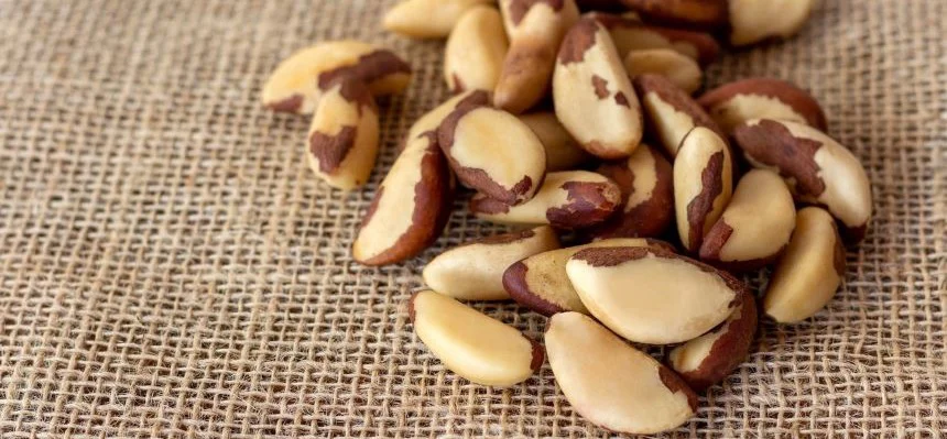 Brazil nuts on burlap