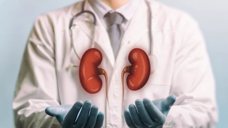 Doctor with kidneys graphic