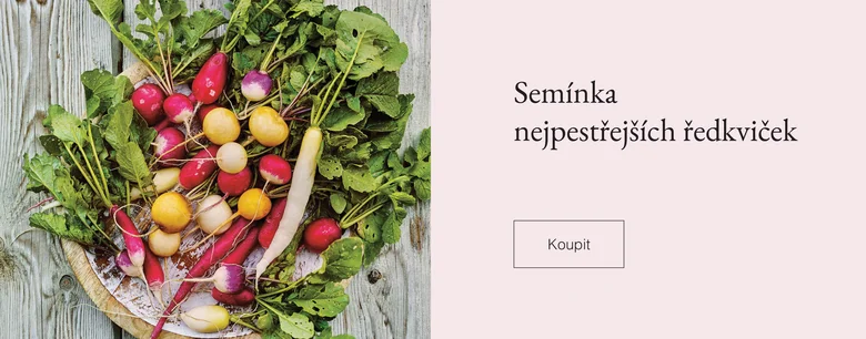 Kolorované ředkvičky s listy v dřevěné míse na venkovském pozadí.
