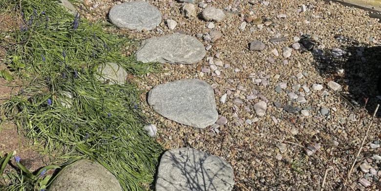 Garden stepping stones path
