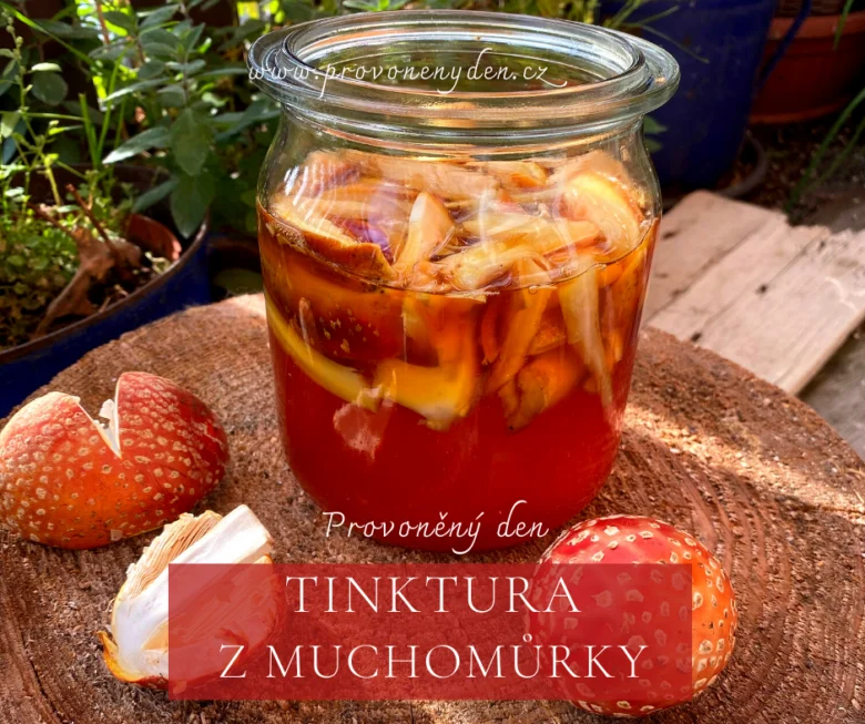 Sklenice s tinkturou z muchomůrky červené na dřevě.