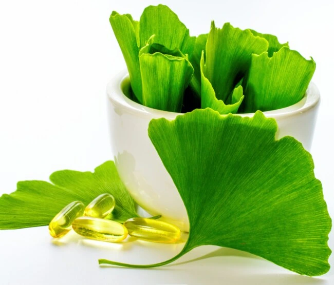 Čerstvé listy ginkgo biloby s kapslemi vitamínů pro paměť.
