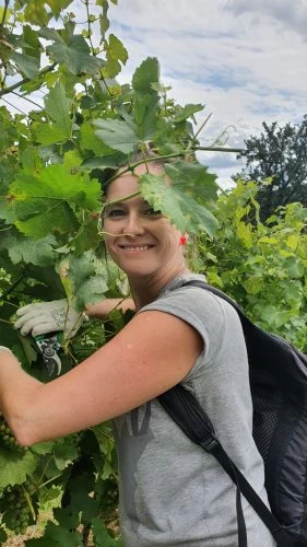 Žena řezá vinnou révu rukavicemi na zahradě.